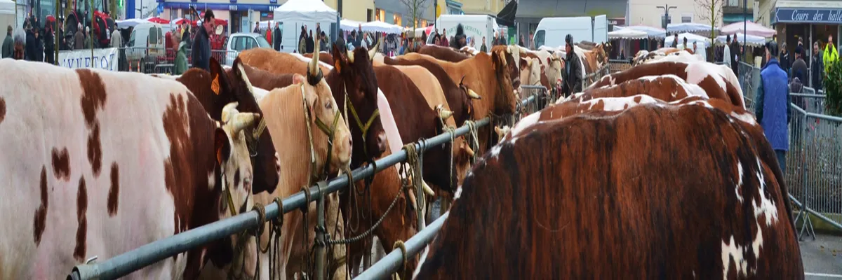Image Installation douche sénior Yvetot