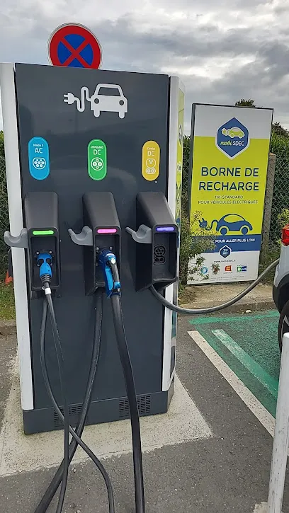 Photo de Station de recharge pour véhicules électriques
