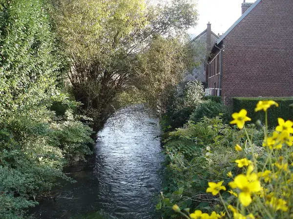 Douche Sénior Installation douche sénior Déville-lès-Rouen